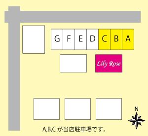 半田 占い|【リリーローズ】愛知県半田市の手相占いとパワース。